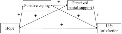 Hope and life satisfaction among Chinese shadow education tutors: The mediating roles of positive coping and perceived social support